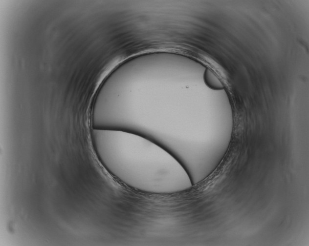X0000097500907200802220839