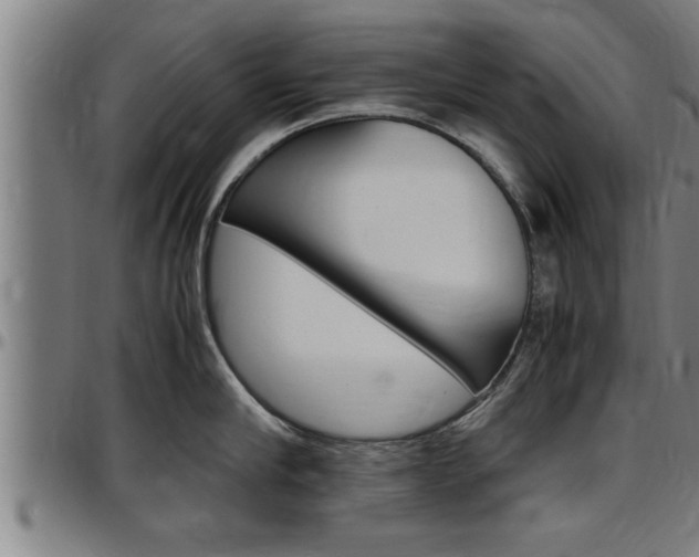 X0000097500910200802220839