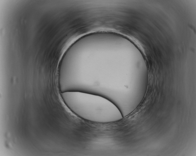 X0000097500911200802220839