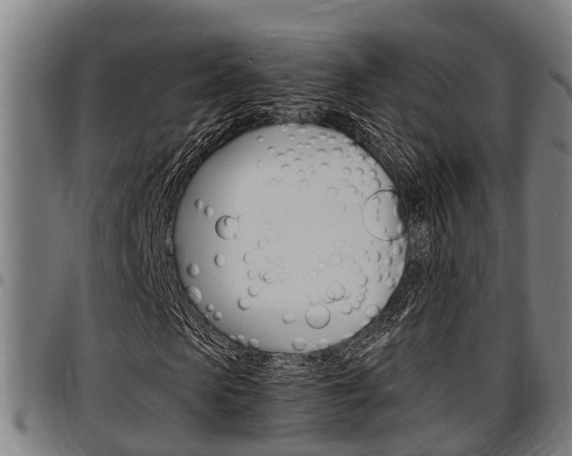 X0000097500913200802220838