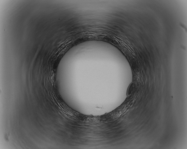 X0000097500914200802220838