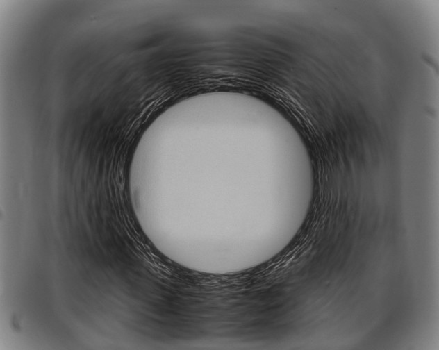X0000097500915200802220838