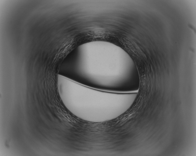 X0000097500916200802220838