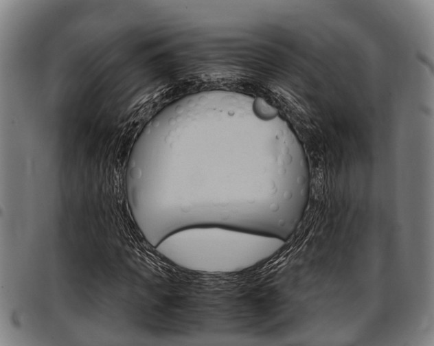 X0000097500917200802220838