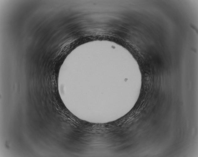 X0000097500918200802220838