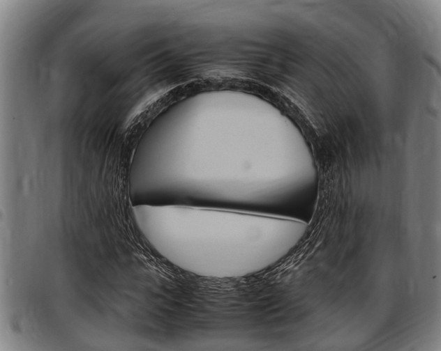 X0000097500919200802220838