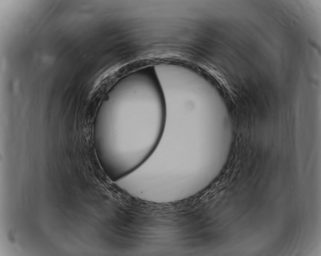 X0000097500920200802220838