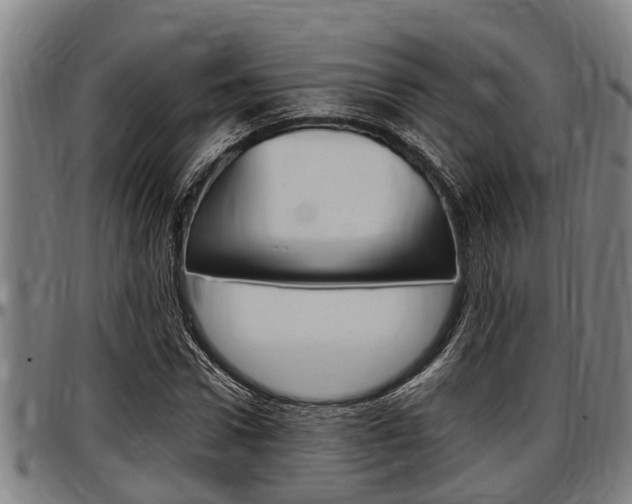X0000097500922200802220838