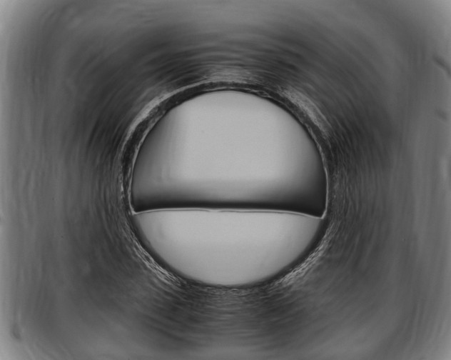 X0000097500923200802220838