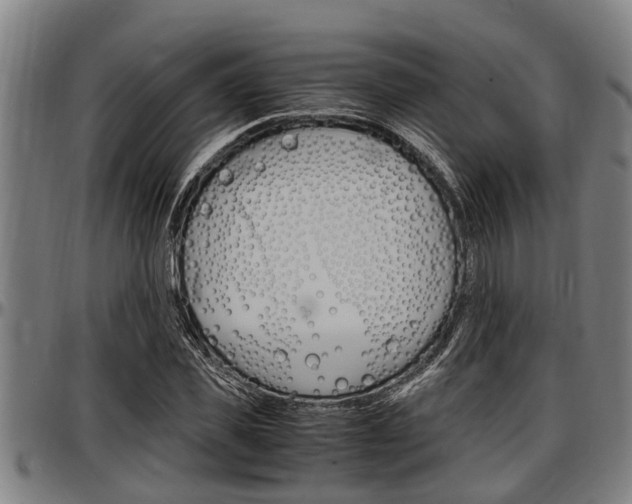 X0000097500925200802220838