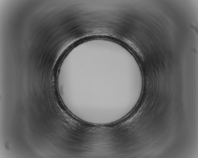 X0000097500926200802220838