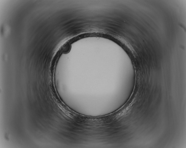 X0000097500927200802220838