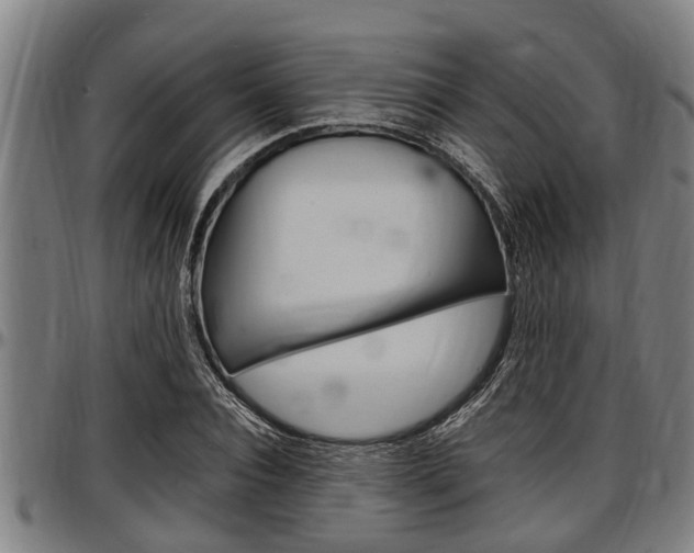X0000097500928200802220838