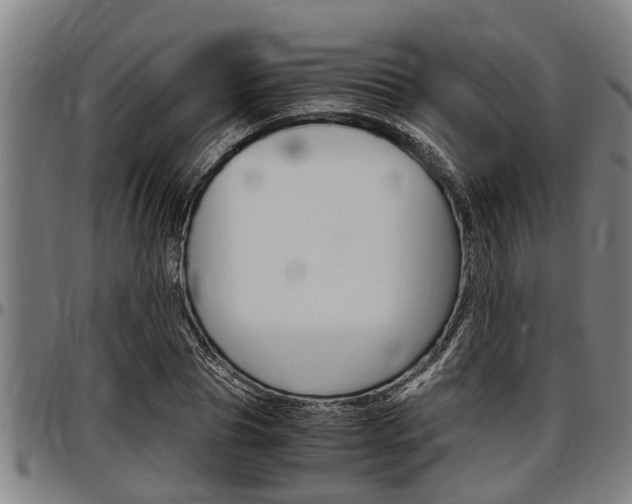 X0000097500929200802220838