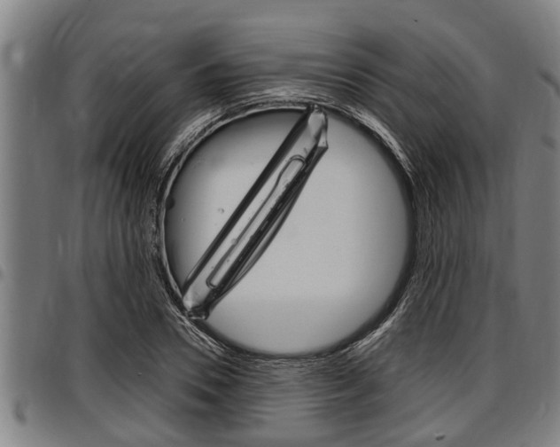 X0000097500930200802220838