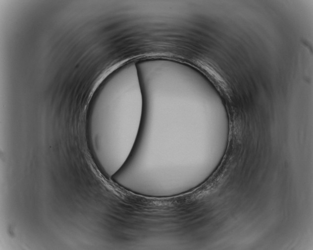 X0000097500933200802220838