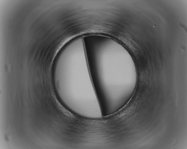 X0000097500934200802220838