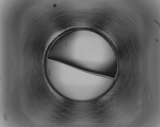 X0000097500935200802220838