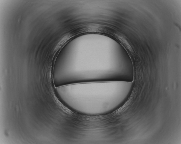 X0000097500938200802220838