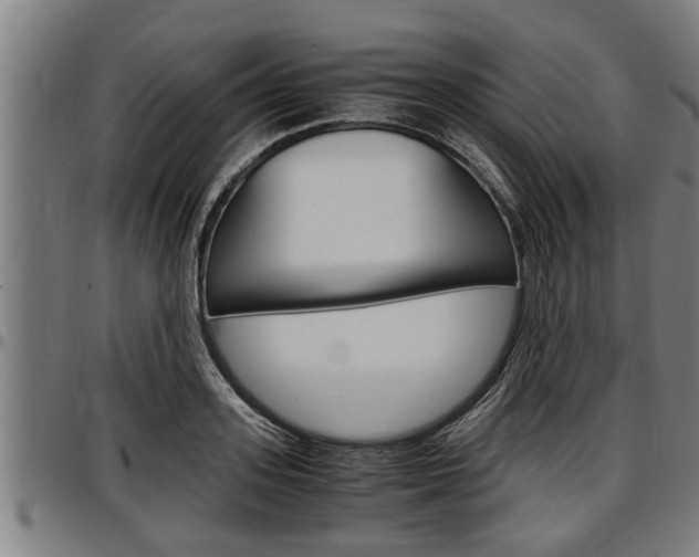 X0000097500939200802220838