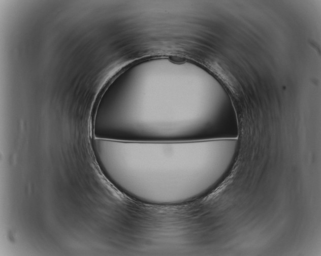 X0000097500940200802220838
