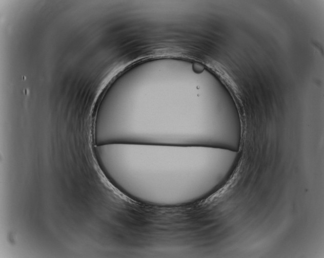 X0000097500941200802220838