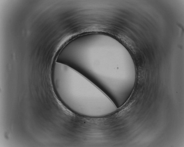 X0000097500942200802220838