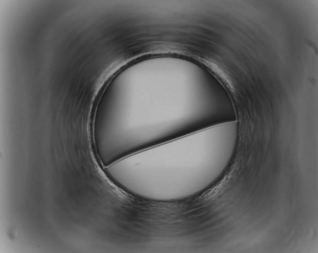 X0000097500943200802220838