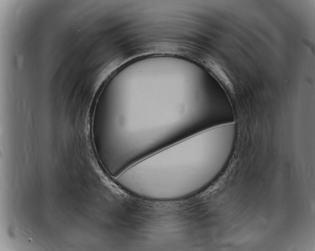 X0000097500944200802220838