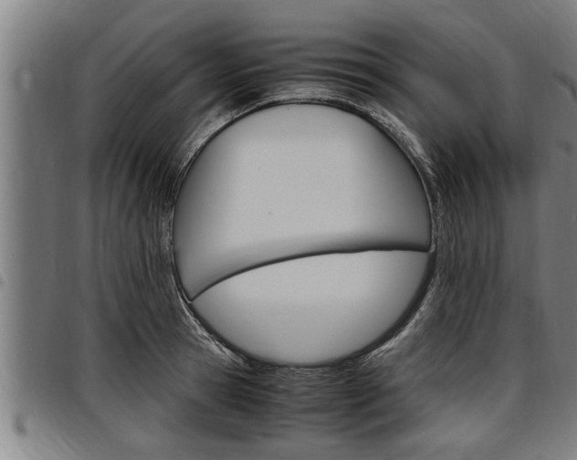 X0000097500945200802220838