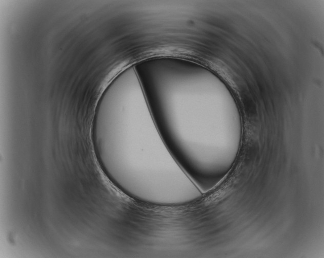 X0000097500946200802220838