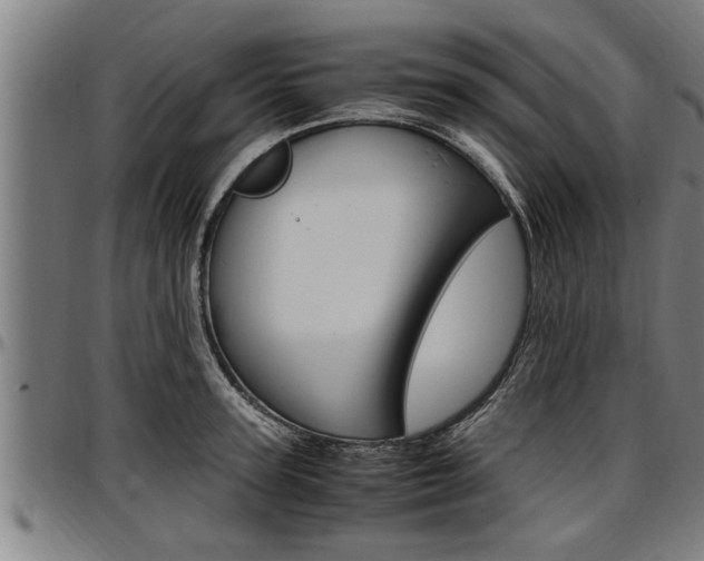 X0000097500947200802220838