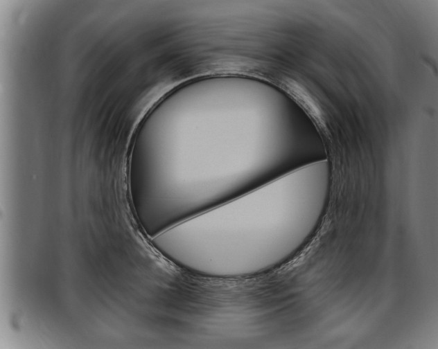 X0000097500948200802220838
