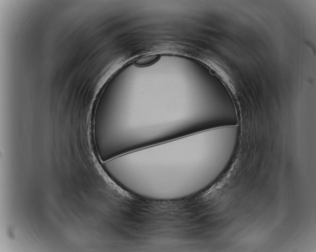 X0000097500949200802220838