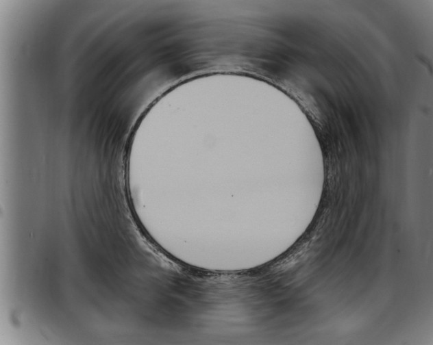 X0000097500950200802220838
