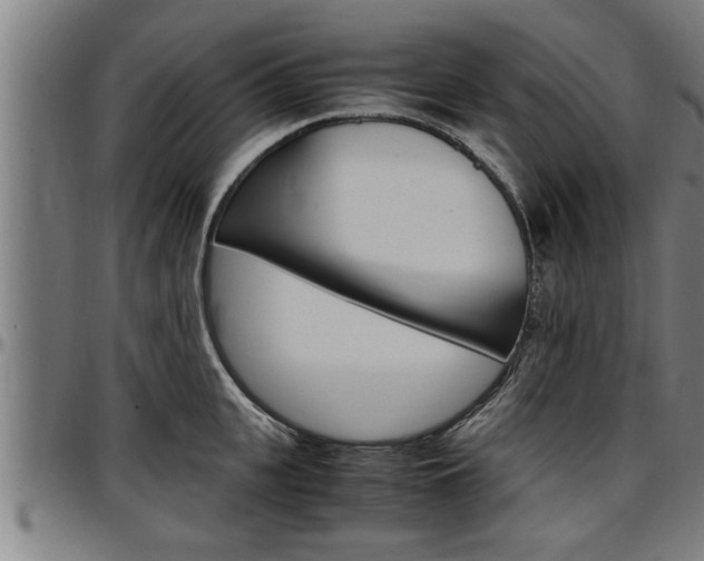 X0000097500951200802220838