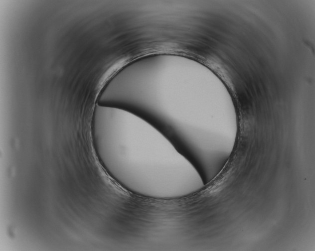 X0000097500954200802220838