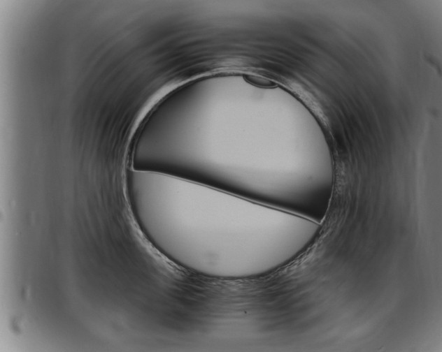 X0000097500955200802220838