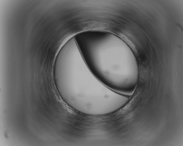 X0000097500956200802220838