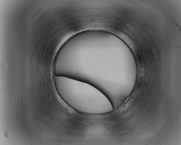 X0000097500958200802220838