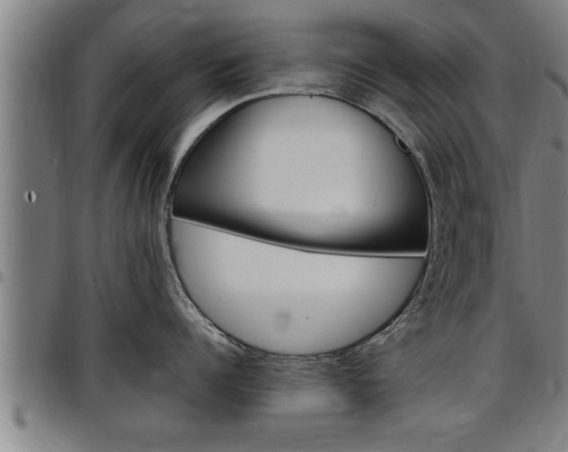 X0000097500960200802220839