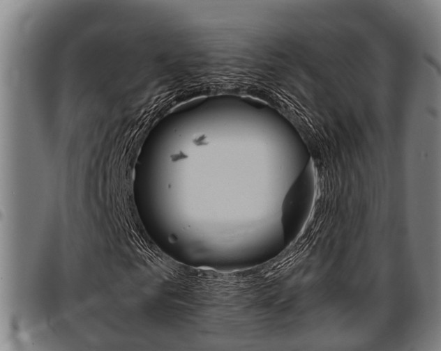 X0000097500961200802220838