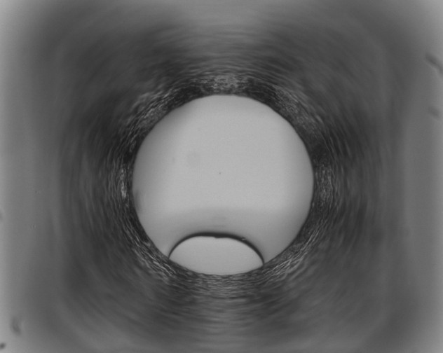 X0000097500962200802220838