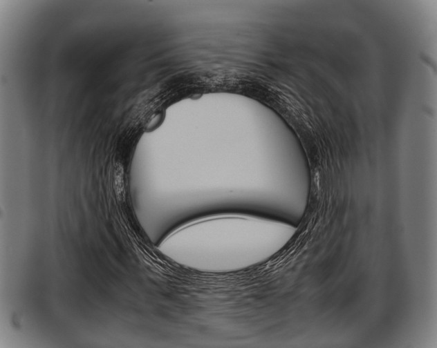 X0000097500963200802220838