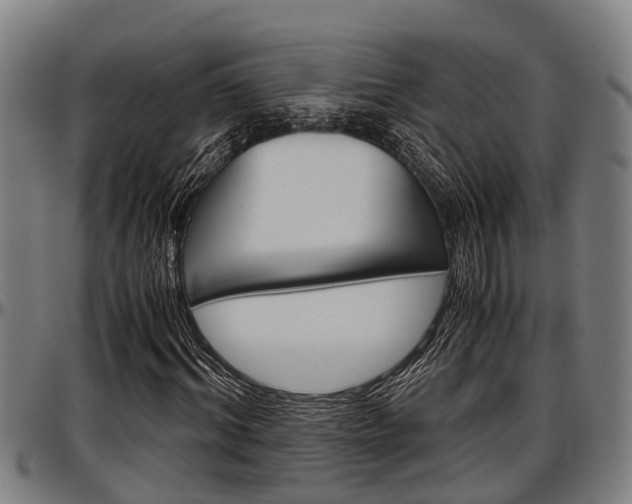 X0000097500964200802220838
