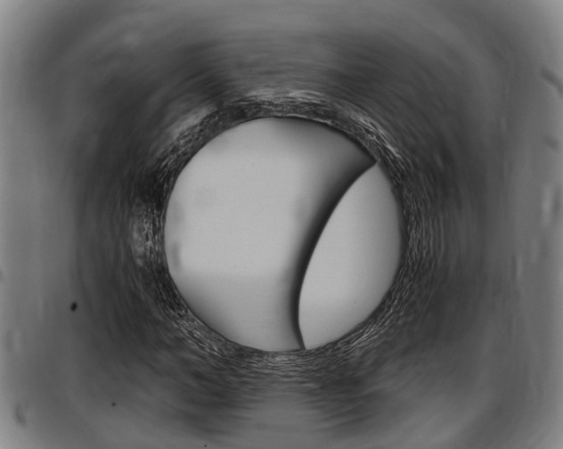 X0000097500966200802220838