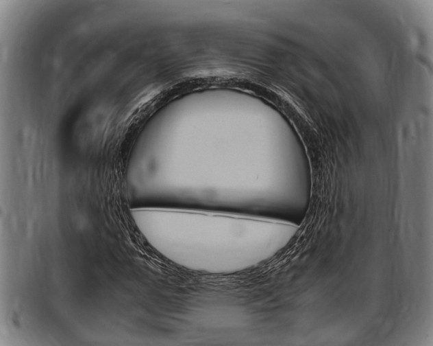 X0000097500967200802220838