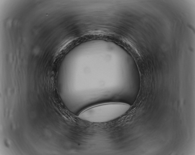 X0000097500968200802220838