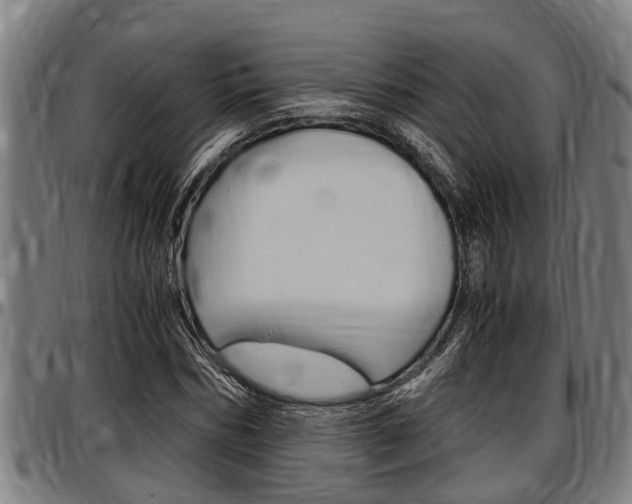 X0000097500970200802220838