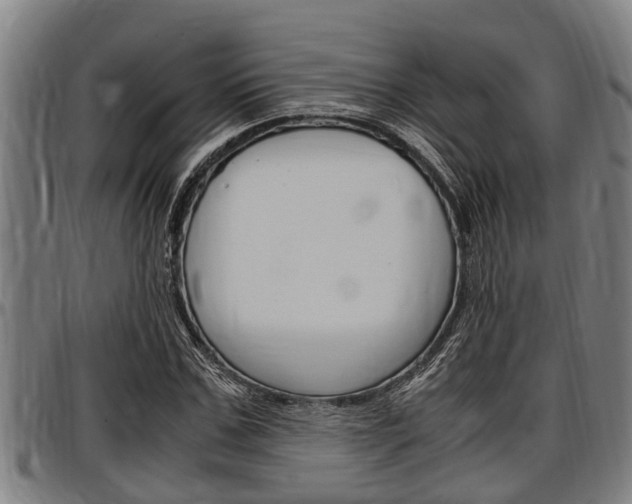 X0000097500971200802220838